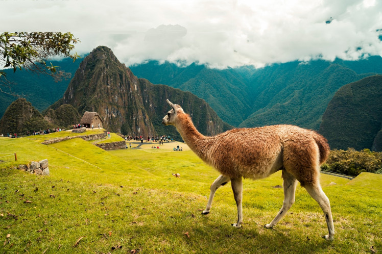 Туристическая страховка в Перу