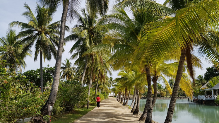 Туристическая страховка на Фиджи